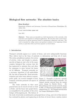 Biological Flow Networks: the Absolute Basics