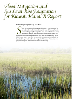Flood Mitigation and Sea Level Rise Adaptation for Kiawah Island: a Report