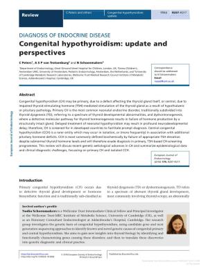 Congenital Hypothyroidism: Update and Perspectives