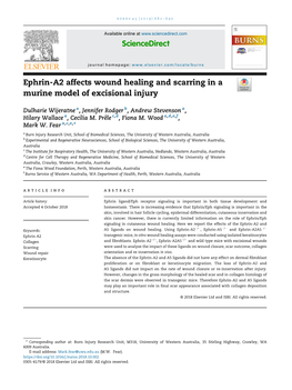 Ephrin-A2 Affects Wound Healing and Scarring in a Murine Model of Excisional Injury