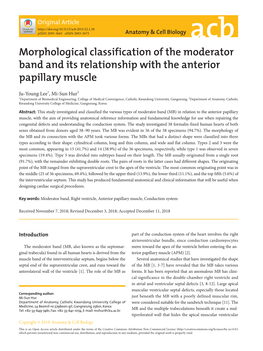 Morphological Classification of the Moderator Band and Its Relationship with the Anterior Papillary Muscle