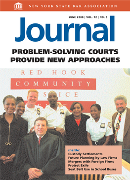Problem-Solving Courts Provide New Approaches
