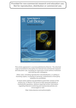 Kashing up with the Nucleus: Novel Functional Roles of KASH