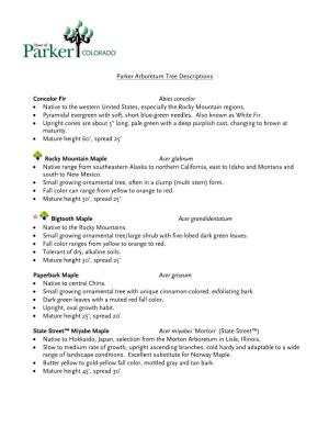 Parker Arboretum Tree Descriptions Concolor Fir Abies Concolor