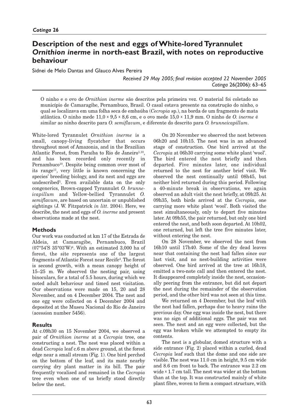 Description of the Nest and Eggs of White-Lored Tyrannulet Ornithion