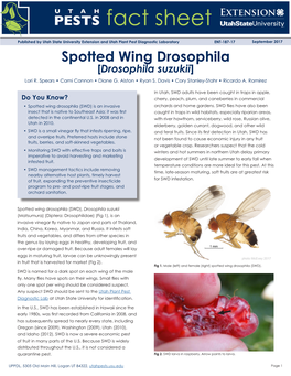 Spotted Wing Drosophila [Drosophila Suzukii] Lori R