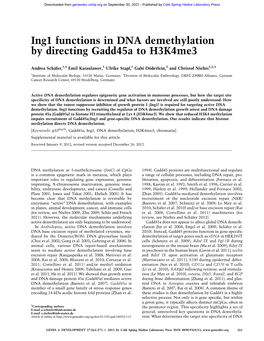Ing1 Functions in DNA Demethylation by Directing Gadd45a to H3k4me3
