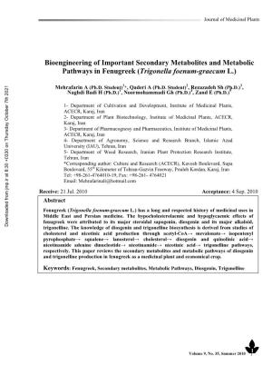 Bioengineering of Important Secondary Metabolites and Metabolic Pathways in Fenugreek (Trigonella Foenum-Graecum L.)