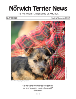 Norwich Terrier News the NORWICH TERRIER CLUB of AMERICA