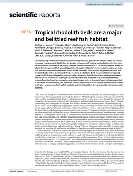Tropical Rhodolith Beds Are a Major and Belittled Reef Fish Habitat