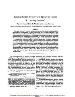 Limiting Factors for Glycogen Storage in Tumors I. Limiting Enzymes *