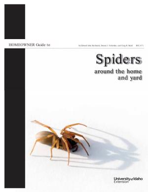 Homeowner Guide to Spiders Around the Home and Yard