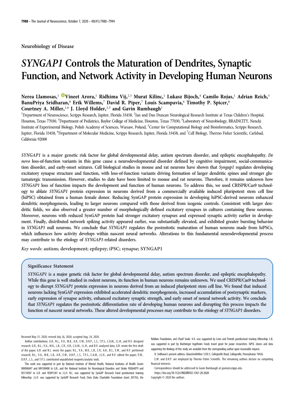 SYNGAP1 Controls the Maturation of Dendrites, Synaptic Function, and Network Activity in Developing Human Neurons