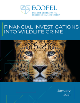 Financial Investigations Into Wildlife Crime