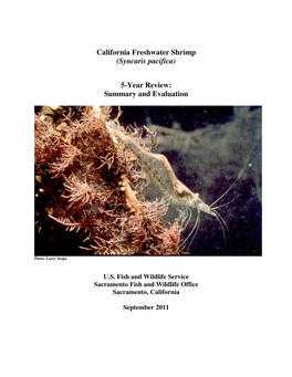 California Freshwater Shrimp (Syncaris Pacifica) 5-Year Review: Summary and Evaluation