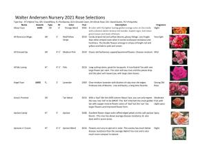 Walter Andersen Nursery 2021 Rose Selections