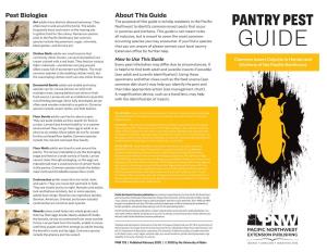 Pantry Pest Guide: Common Insect Culprits in Homes and Kitchens Of