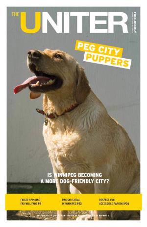 Is Winnipeg Becoming a More Dog-Friendly City?