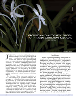 (Neofinetia) Falcata: an Interview with Satomi Kasahara Phyllis Prestia