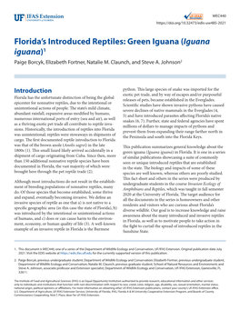 Green Iguana (Iguana Iguana)1 Paige Borcyk, Elizabeth Fortner, Natalie M