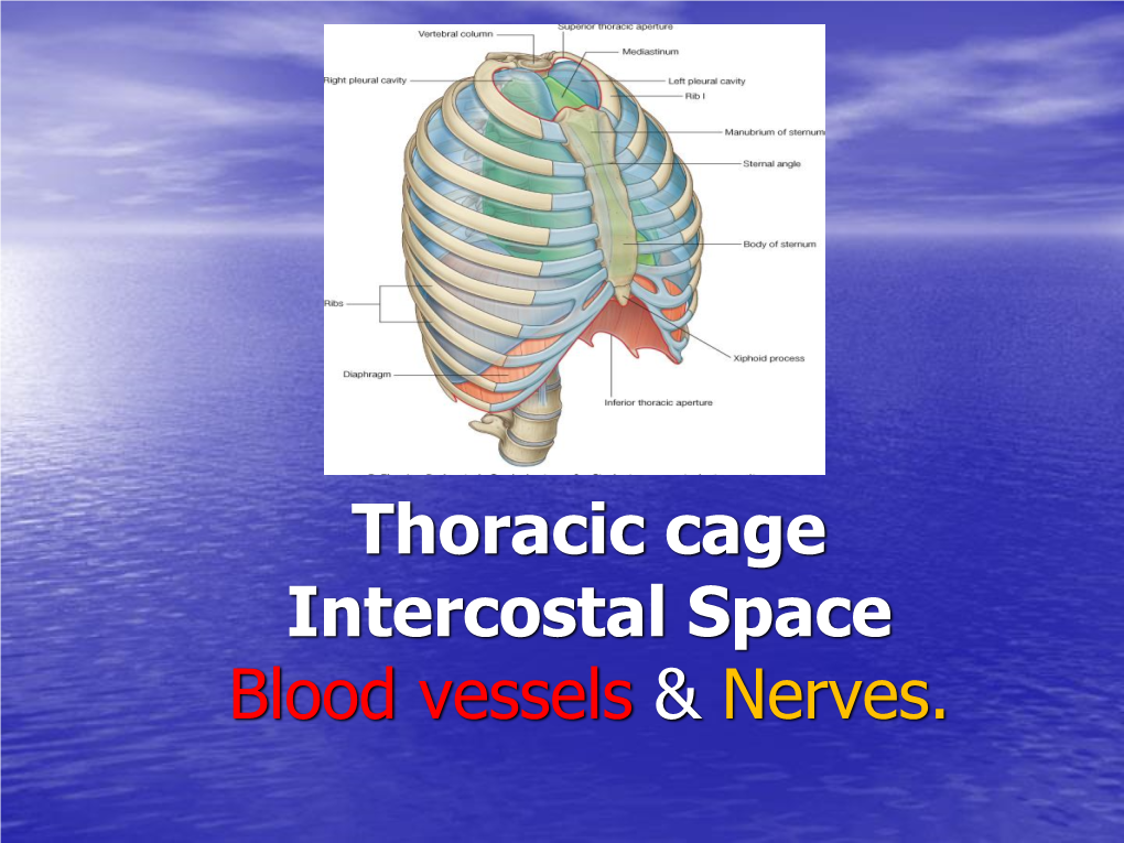 Thorax Is Upper Part of Trunk •Study of Thorax by Studying: –Wall of the Thorax –Contents of Thorax Wall of Thorax