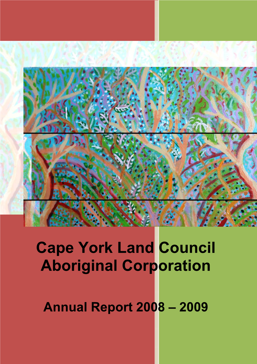 Annual Report 2008 – 2009