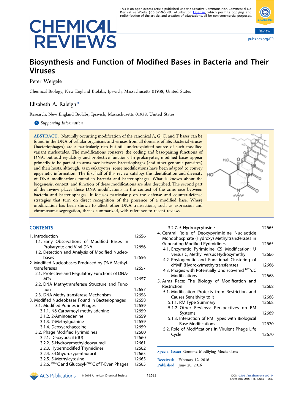 Biosynthesis and Function of Modified Bases in Bacteria and Their Viruses