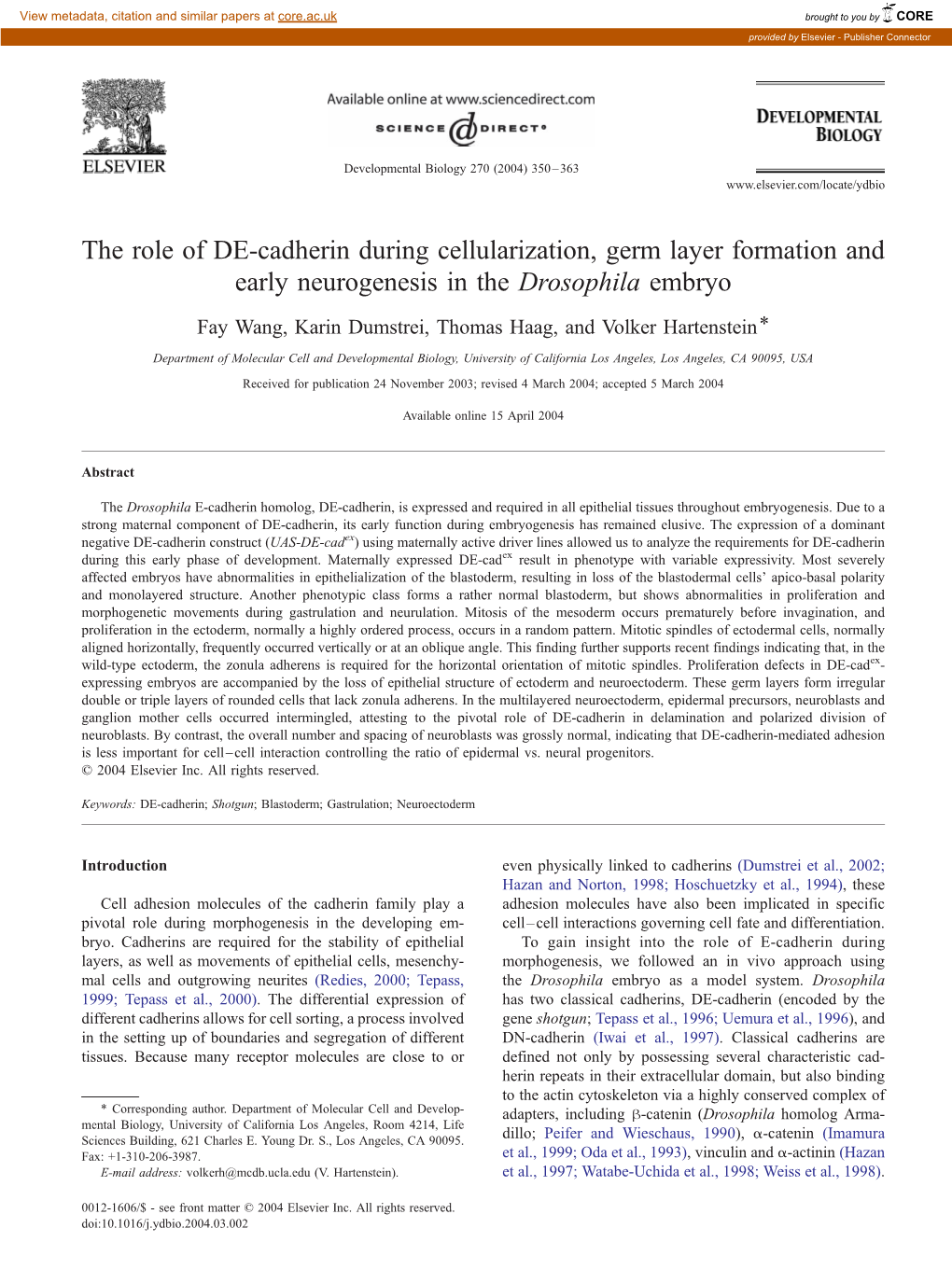 The Role of DE-Cadherin During Cellularization, Germ Layer Formation and Early Neurogenesis in the Drosophila Embryo