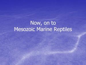 Now, on to Mesozoic Marine Reptiles