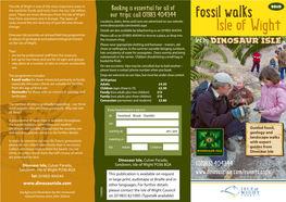 Isle of Wight Fossil Walks