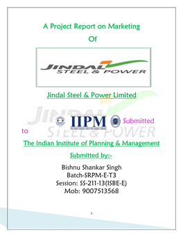 A Project Report on Marketing of Jindal Steel & Power Limited