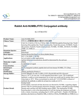 Rabbit Anti-NUMBL/FITC Conjugated Antibody