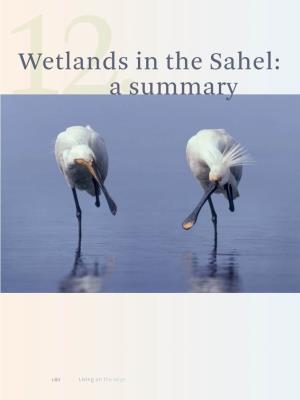 12.Wetlands in the Sahel