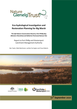 Eco-Hydrological Investigation and Restoration Planning for Big Marsh