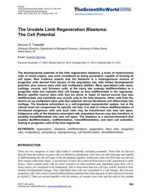 The Urodele Limb Regeneration Blastema: the Cell Potential