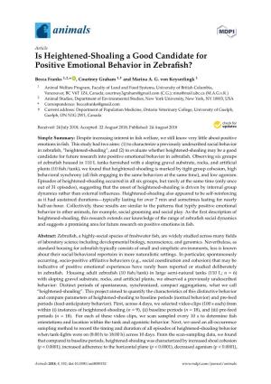 Is Heightened-Shoaling a Good Candidate for Positive Emotional Behavior in Zebraﬁsh?