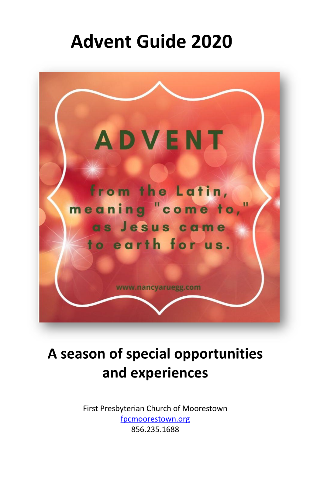 Advent Activity Guide