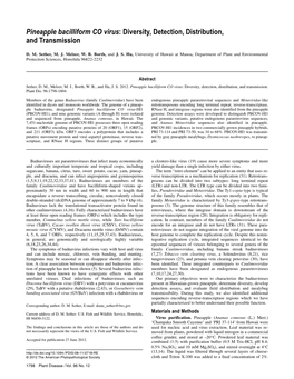 Pineapple Bacilliform CO Virus: Diversity, Detection, Distribution, and Transmission