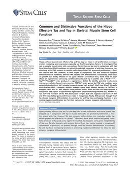 Common and Distinctive Functions of the Hippo Effectors Taz and Yap In