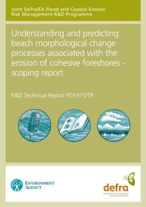 Understanding and Predicting Beach Morphological Change Processes Associated with the Erosion of Cohesive Foreshores - Scoping Report