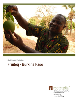 Mangoes in Burkina Faso