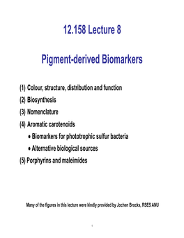 Molecular Biogeochemistry, Lecture 8