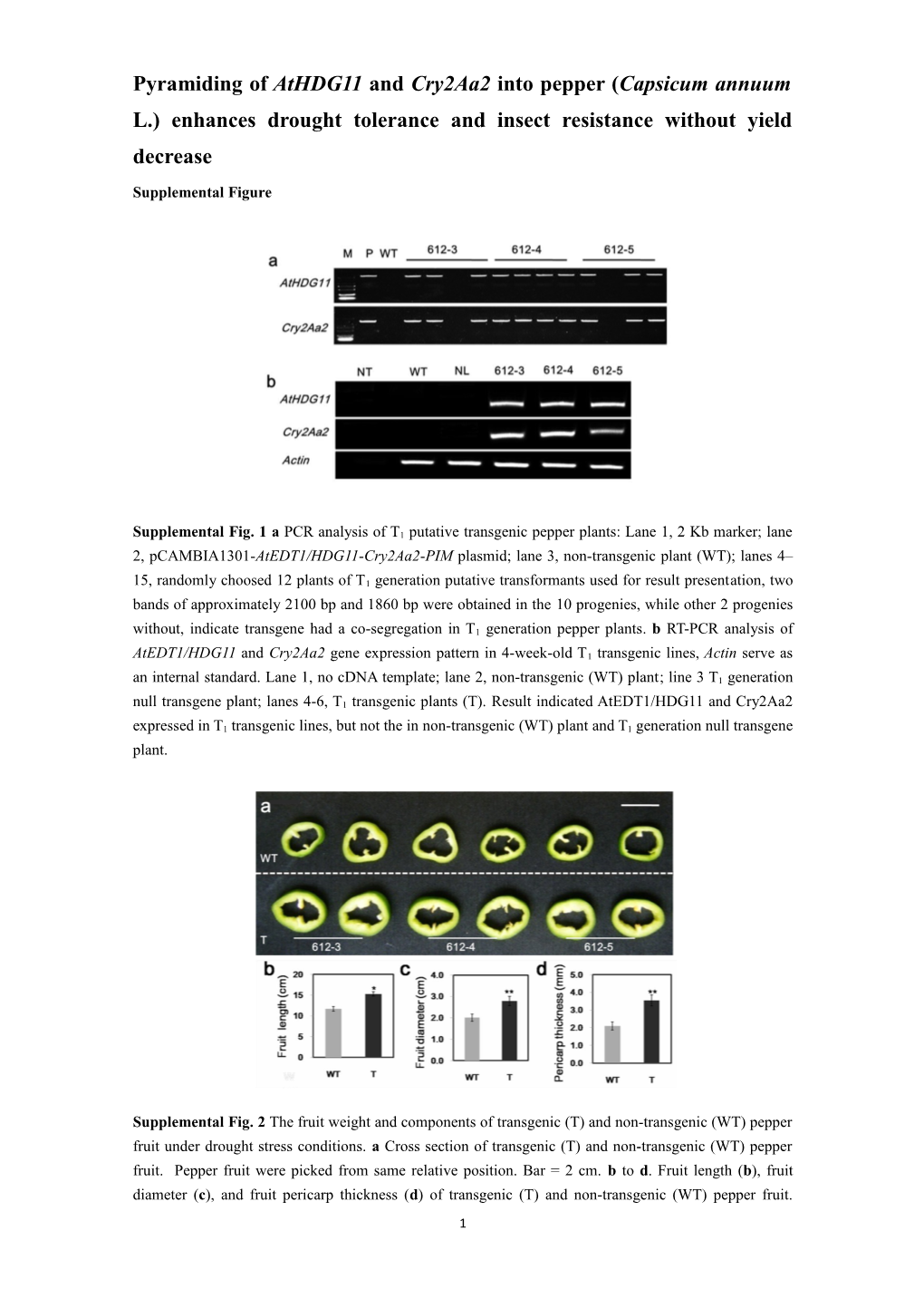 Supplemental Figure