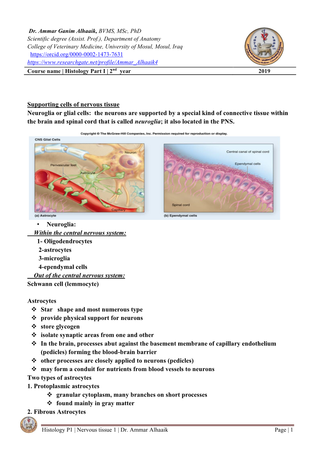 Supporting Cells of Nervous Tissue Neuroglia Or Glial Cells