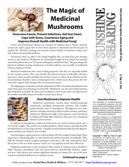 The Magic of Medicinal Mushrooms