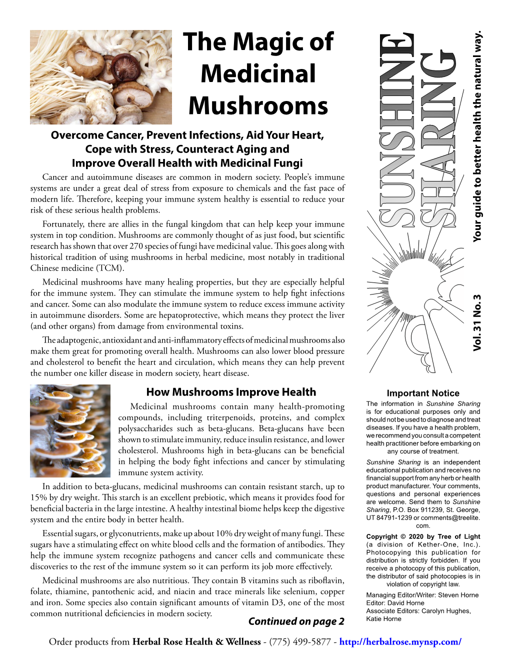 The Magic of Medicinal Mushrooms