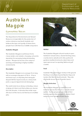 Australian Magpie Fact Sheet