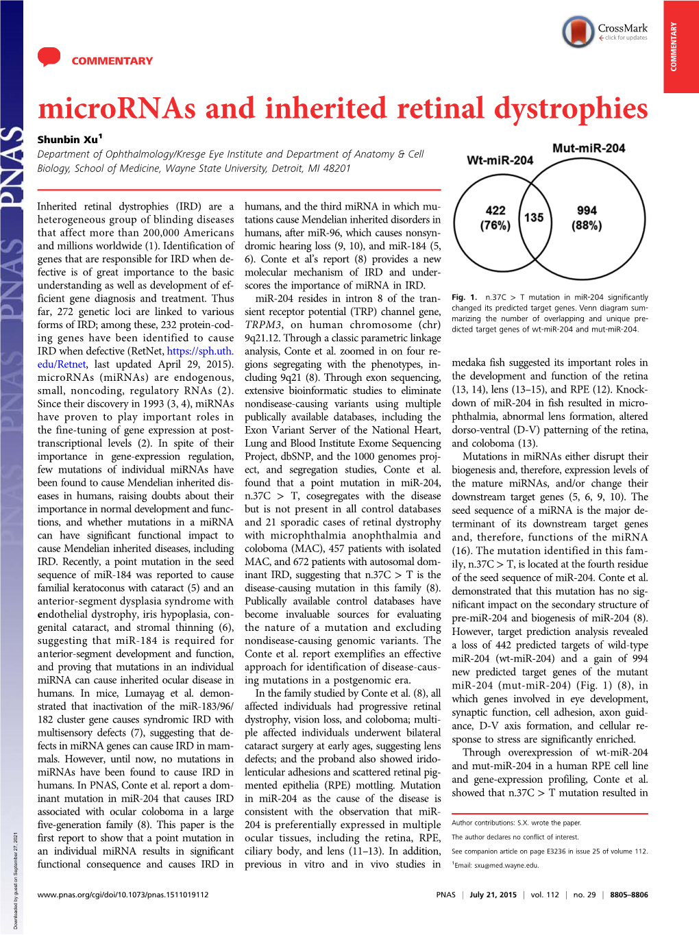 Micrornas and Inherited Retinal Dystrophies