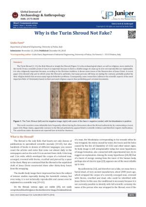 Why Is the Turin Shroud Not Fake?