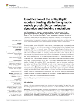 Identification of the Antiepileptic Racetam Binding Site in the Synaptic Vesicle Protein 2A by Molecular Dynamics and Docking Si